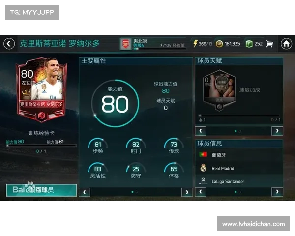 足球球员转会市场现状与未来发展趋势综合分析报告 足球球员转会市场现状与未来发展趋势综合分析报告