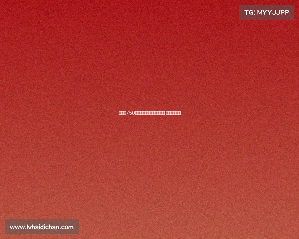 里昂以750万欧元签下捷克国脚舒尔茨 加强进攻阵容